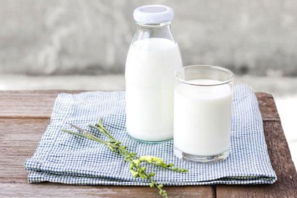 Sữa tươi mang lại nhiều lợi ích cho sức khỏe