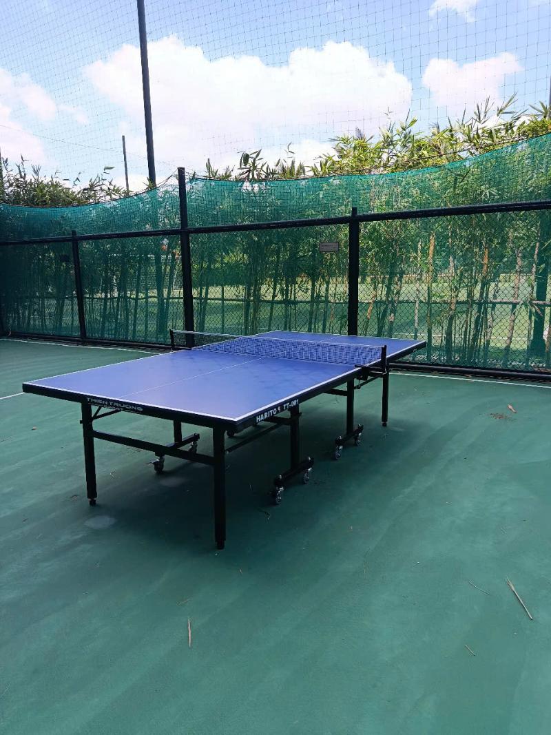 Địa chỉ mua bóng bàn uy tín, chất lượng