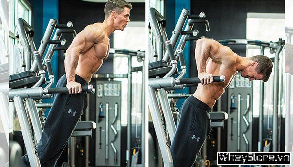 tập xà kép phòng gym